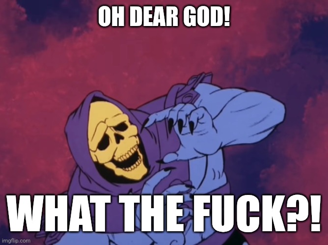 Skeletor | OH DEAR GOD! WHAT THE FUCK?! | image tagged in skeletor | made w/ Imgflip meme maker