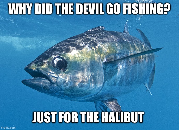 Badum-tss!! | WHY DID THE DEVIL GO FISHING? JUST FOR THE HALIBUT | image tagged in tuna fish,bad pun,bad puns,dad joke,dad jokes | made w/ Imgflip meme maker