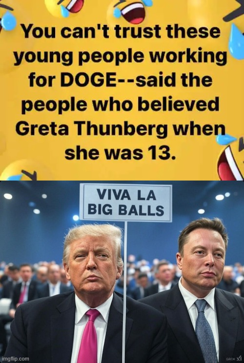 The Dynamic Duo | image tagged in donald trump,elon musk,doge,smart,government efficiency,common sense | made w/ Imgflip meme maker