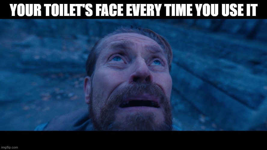 willem dafoe looking up | YOUR TOILET'S FACE EVERY TIME YOU USE IT | image tagged in willem dafoe looking up | made w/ Imgflip meme maker