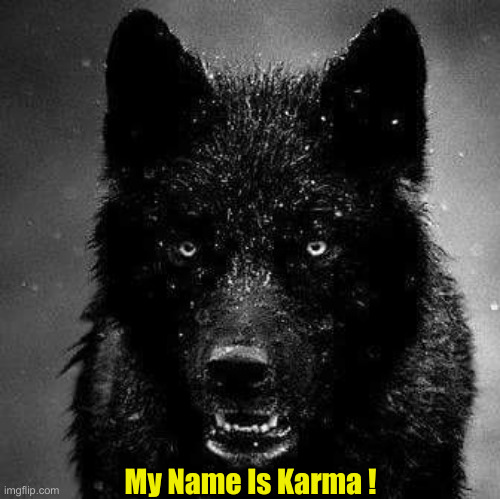 And You Must Be Commie Kibble ! | My Name Is Karma ! | image tagged in karma,political meme,politics,funny memes,funny | made w/ Imgflip meme maker