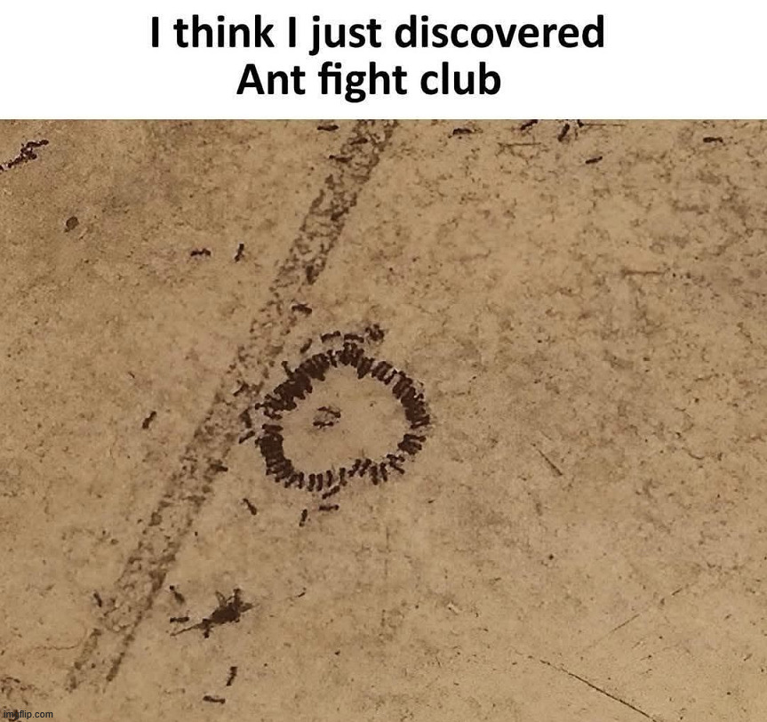 I am not talking about it | image tagged in fight club | made w/ Imgflip meme maker