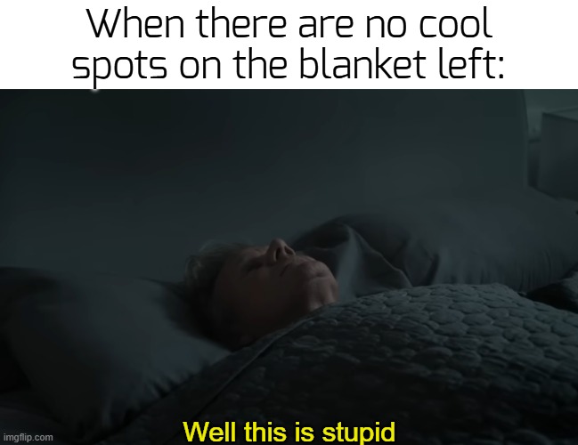 d4mnit | When there are no cool spots on the blanket left:; Well this is stupid | image tagged in funny,memes,blanket | made w/ Imgflip meme maker