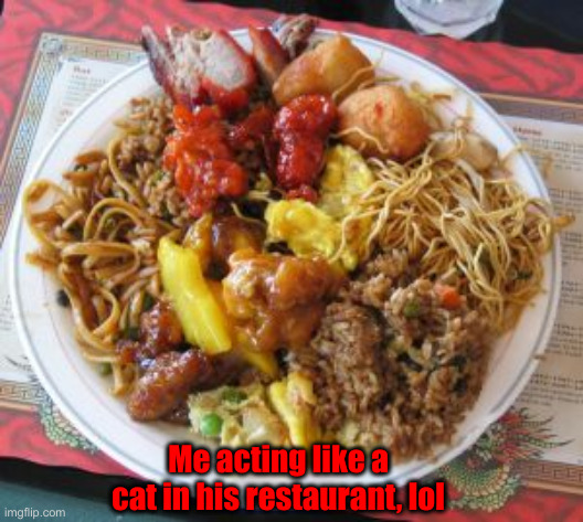 Chinese food | Me acting like a cat in his restaurant, lol | image tagged in meow | made w/ Imgflip meme maker