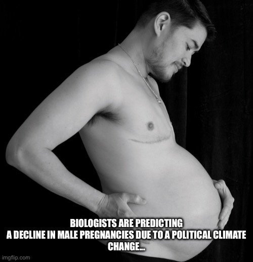 Silly Liberals and their mental illness | BIOLOGISTS ARE PREDICTING A DECLINE IN MALE PREGNANCIES DUE TO A POLITICAL CLIMATE
CHANGE... | image tagged in pregnant man | made w/ Imgflip meme maker