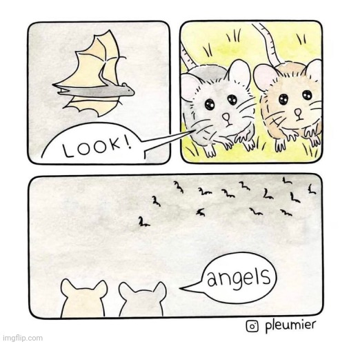 Such angels | image tagged in bat,bats,angels,comics,comics/cartoons,angel | made w/ Imgflip meme maker