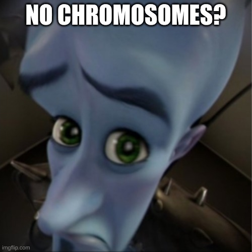 Megamind peeking | NO CHROMOSOMES? | image tagged in megamind peeking | made w/ Imgflip meme maker