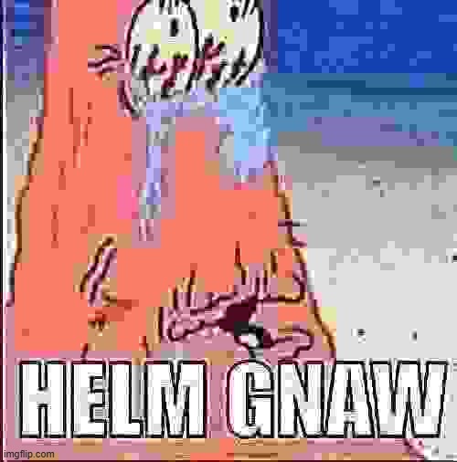 HELM GNAW | image tagged in helm gnaw | made w/ Imgflip meme maker