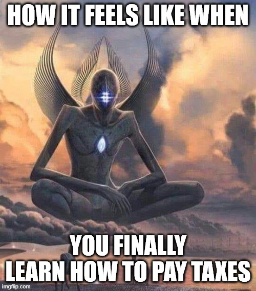 Enlightened cloud guy | HOW IT FEELS LIKE WHEN; YOU FINALLY LEARN HOW TO PAY TAXES | image tagged in enlightened cloud guy | made w/ Imgflip meme maker