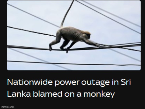 image tagged in shitpost,poweroutage,electricity,monkey | made w/ Imgflip meme maker