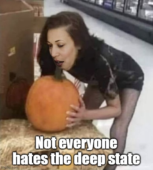 Not everyone hates the deep state | made w/ Imgflip meme maker