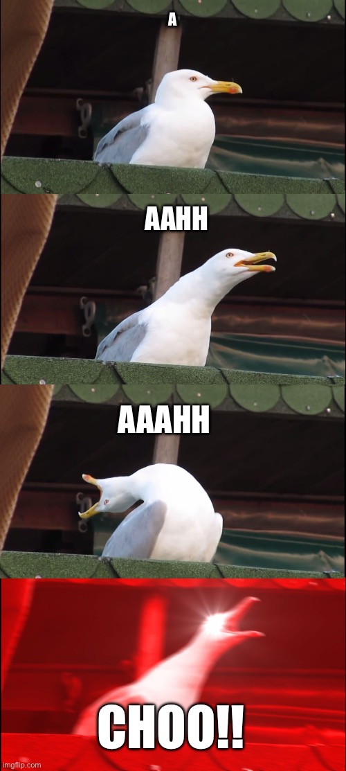 how i sneeze | A; AAHH; AAAHH; CHOO!! | image tagged in memes,inhaling seagull | made w/ Imgflip meme maker