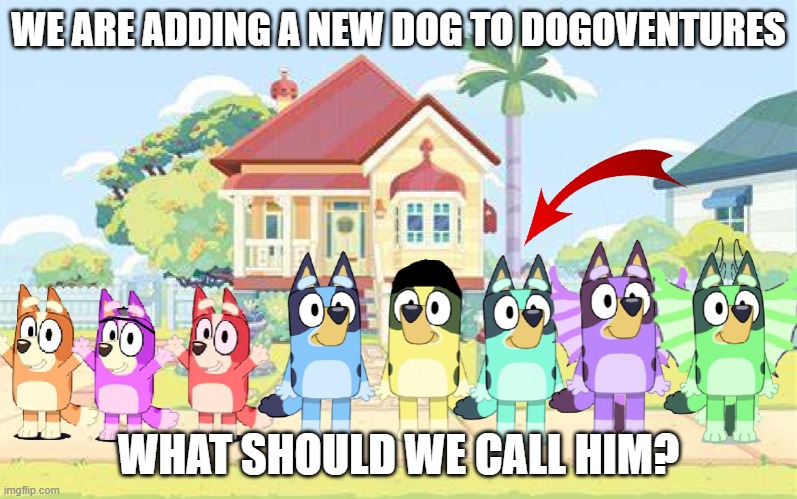 New Dogoventures Dog | WE ARE ADDING A NEW DOG TO DOGOVENTURES; WHAT SHOULD WE CALL HIM? | image tagged in dogoventures dogs living at bluey and bingo's house | made w/ Imgflip meme maker