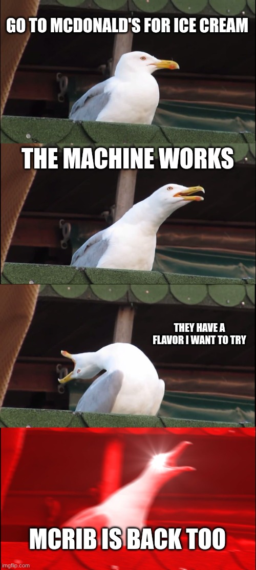 Inhaling Seagull | GO TO MCDONALD'S FOR ICE CREAM; THE MACHINE WORKS; THEY HAVE A FLAVOR I WANT TO TRY; MCRIB IS BACK TOO | image tagged in memes,inhaling seagull | made w/ Imgflip meme maker