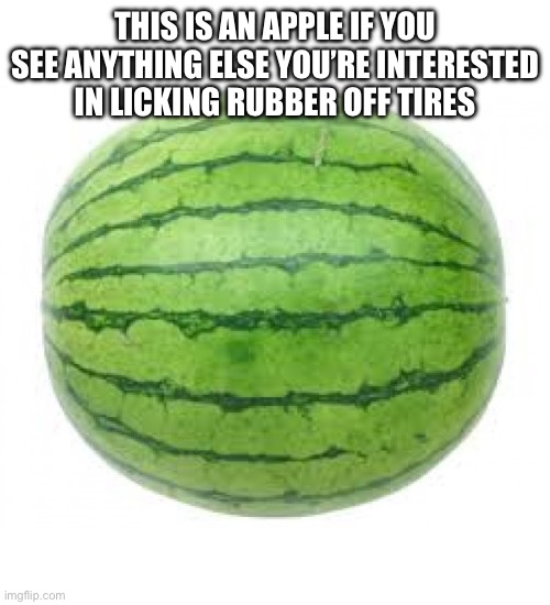 Watermelon | THIS IS AN APPLE IF YOU SEE ANYTHING ELSE YOU’RE INTERESTED IN LICKING RUBBER OFF TIRES | image tagged in watermelon | made w/ Imgflip meme maker