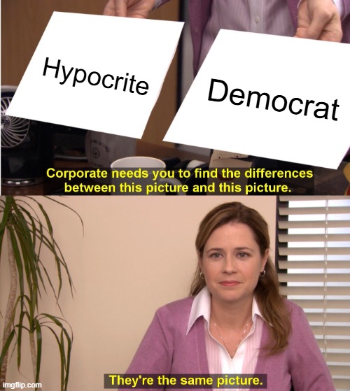 They're The Same Picture | Hypocrite; Democrat | image tagged in memes,they're the same picture | made w/ Imgflip meme maker