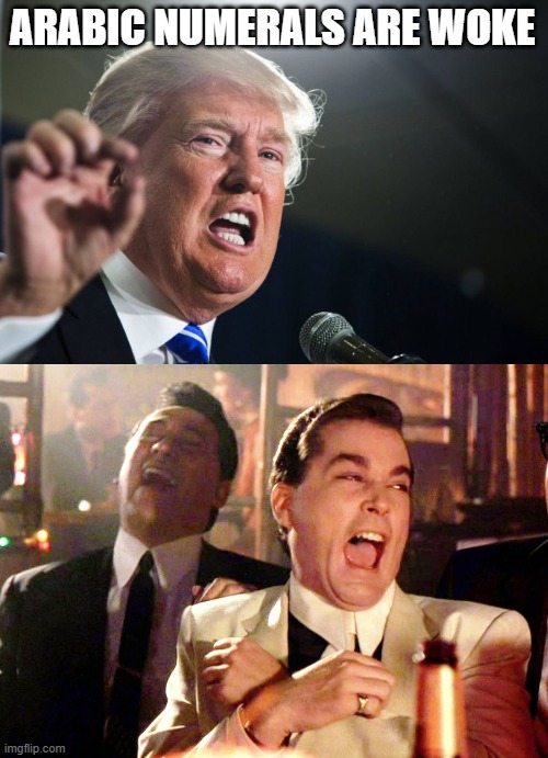 Secretary of Education should 100% stay | ARABIC NUMERALS ARE WOKE | image tagged in donald trump,memes,good fellas hilarious,its a joke,troll,pathetic don | made w/ Imgflip meme maker