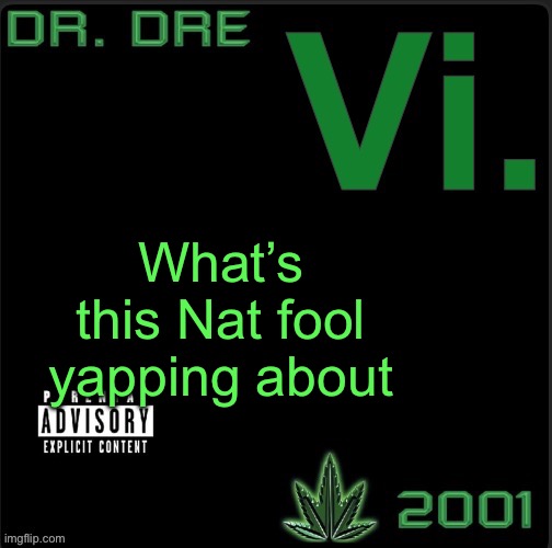 You ever get a bad vibe? I got about twelve | What’s this Nat fool yapping about | image tagged in vi template | made w/ Imgflip meme maker