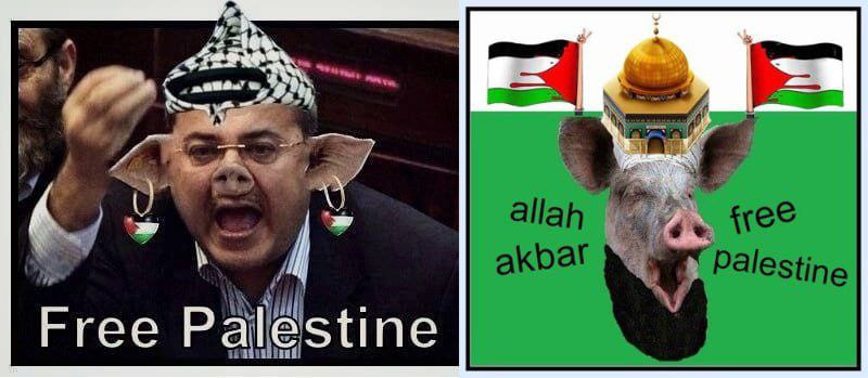Islamic Punk from Palestine  بانك اسلامي من فلسطين Blank Meme Template