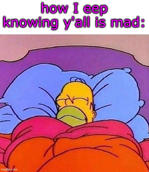 Homer Simpson sleeping peacefully | how I eep knowing y'all is mad: | image tagged in homer simpson sleeping peacefully | made w/ Imgflip meme maker