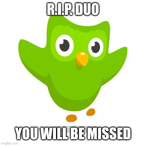 rip duolingo bird | R.I.P. DUO; YOU WILL BE MISSED | image tagged in things duolingo teaches you,duolingo,duolingo bird,spanish,language,rip | made w/ Imgflip meme maker