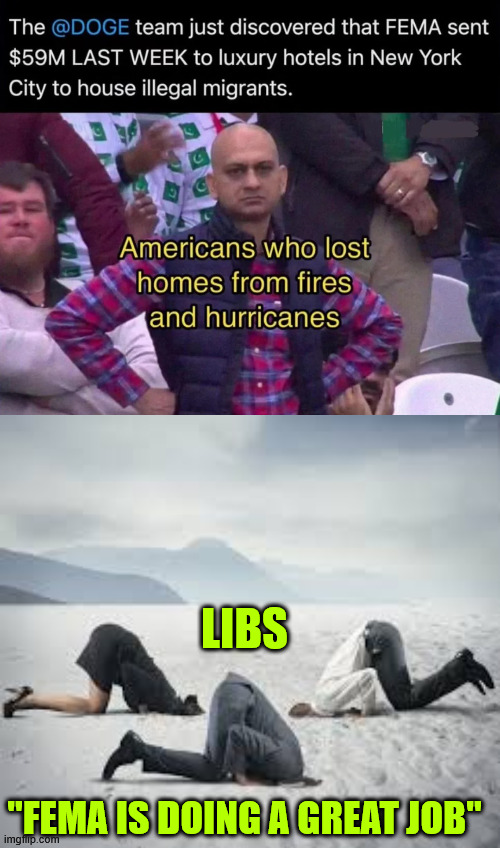 FEMA doing a great job... according to stupid people... | LIBS; "FEMA IS DOING A GREAT JOB" | image tagged in ostrich head in sand,fema,putting americans last | made w/ Imgflip meme maker