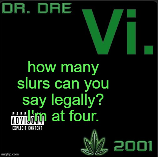 Vi. template | how many slurs can you say legally? I'm at four. | image tagged in vi template | made w/ Imgflip meme maker