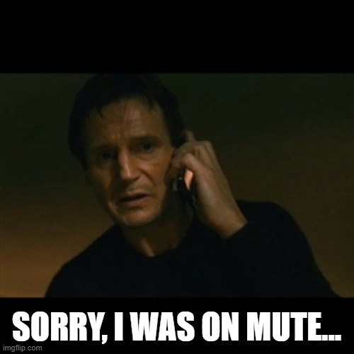 Typical, firgures | SORRY, I WAS ON MUTE... | image tagged in memes,liam neeson taken,fml,figures | made w/ Imgflip meme maker