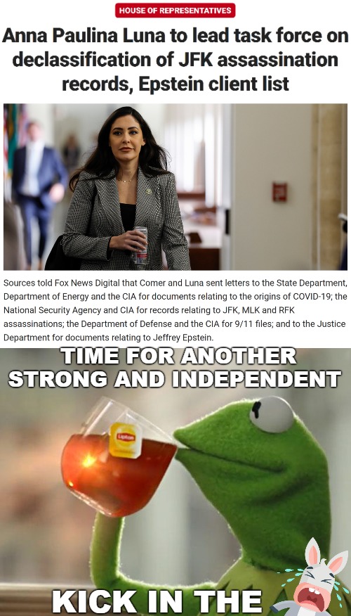 ...next promise. And we get to see the ways the system tries to strangle and delay it up front | TIME FOR ANOTHER STRONG AND INDEPENDENT; KICK IN THE | image tagged in but that's none of my business,american politics,government corruption | made w/ Imgflip meme maker