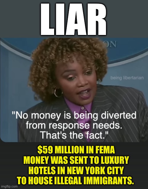 Democrats are liars | LIAR; $59 MILLION IN FEMA MONEY WAS SENT TO LUXURY HOTELS IN NEW YORK CITY TO HOUSE ILLEGAL IMMIGRANTS. | image tagged in liar,democrats,corrupt to the core | made w/ Imgflip meme maker