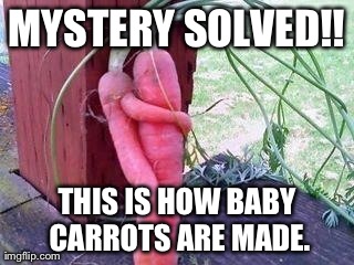 MYSTERY SOLVED!! THIS IS HOW BABY CARROTS ARE MADE. | image tagged in vegetables,food | made w/ Imgflip meme maker