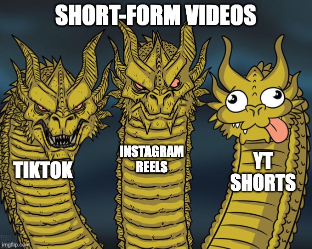 yes very respectful i know | SHORT-FORM VIDEOS; INSTAGRAM REELS; YT SHORTS; TIKTOK | image tagged in three-headed dragon,yt shorts,tiktok | made w/ Imgflip meme maker