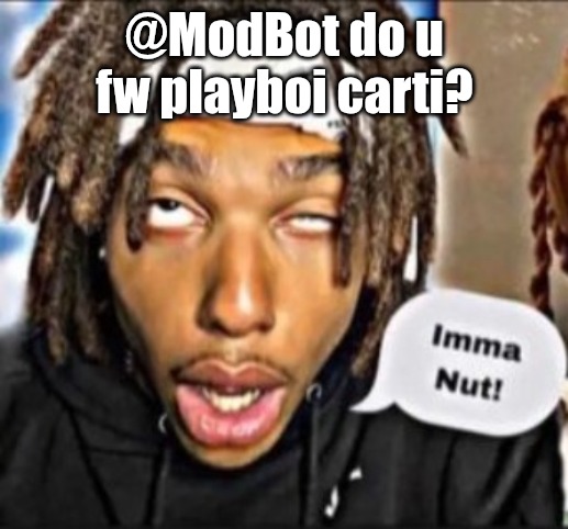 Imma Nut! | @ModBot do u fw playboi carti? | image tagged in imma nut | made w/ Imgflip meme maker