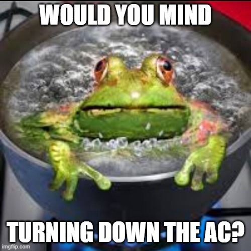 Frog on Pot | WOULD YOU MIND; TURNING DOWN THE AC? | image tagged in frog | made w/ Imgflip meme maker