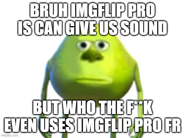 THE SOUND GIFS ARE FOR PRO WHAT THE FU- | BRUH IMGFLIP PRO IS CAN GIVE US SOUND; BUT WHO THE F**K EVEN USES IMGFLIP PRO FR | image tagged in gif,_,- | made w/ Imgflip meme maker