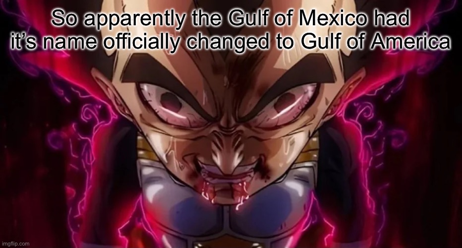 vegeta drool | So apparently the Gulf of Mexico had it’s name officially changed to Gulf of America | image tagged in vegeta drool | made w/ Imgflip meme maker