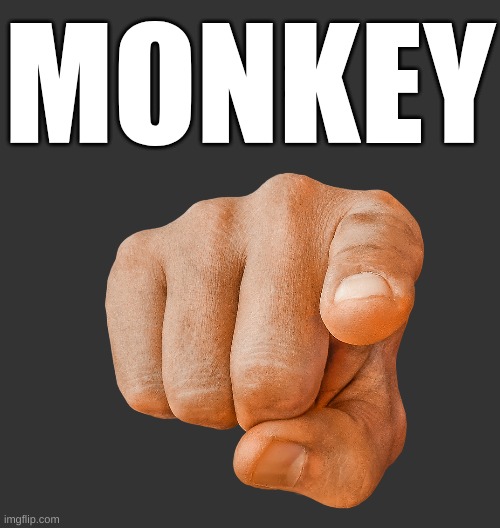 Blank Dark Mode Square | MONKEY | image tagged in blank dark mode square | made w/ Imgflip meme maker