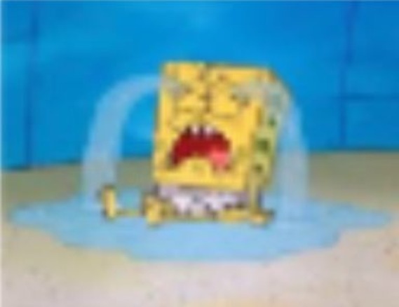 spumgelop cryne | image tagged in spumgelop cryne | made w/ Imgflip meme maker