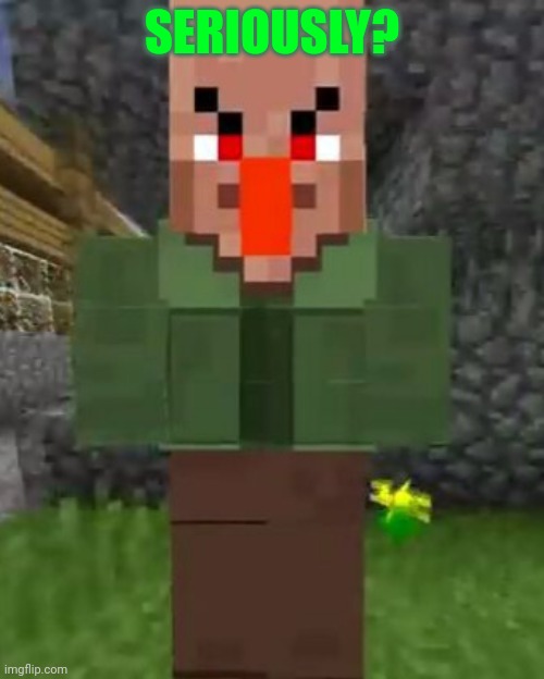 The Angry Villager | SERIOUSLY? | image tagged in an angried villager is looking to you | made w/ Imgflip meme maker