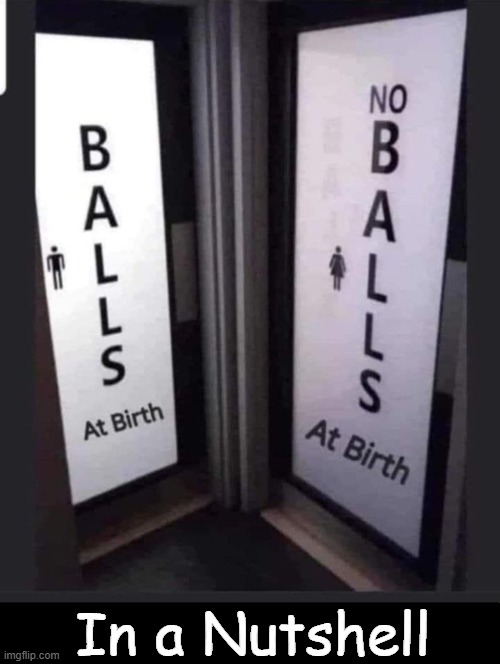 Problem Solved | In a Nutshell | image tagged in balls at birth,no balls at birth,modern problems,modern problems require modern solutions,relatable,men and women | made w/ Imgflip meme maker