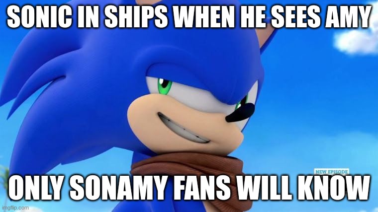 Sonamy shippers be like: | SONIC IN SHIPS WHEN HE SEES AMY; ONLY SONAMY FANS WILL KNOW | image tagged in sonic meme | made w/ Imgflip meme maker