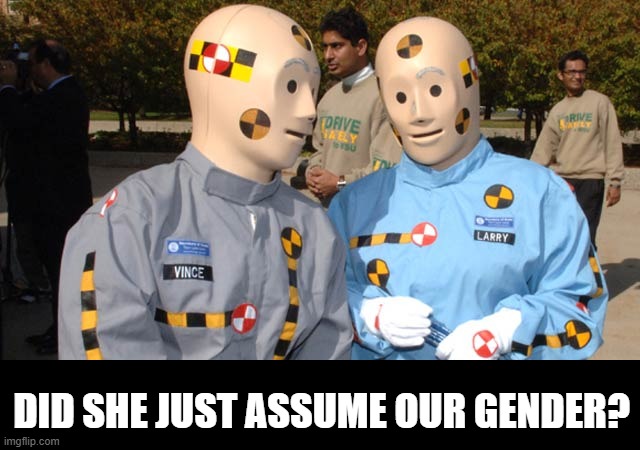 Crash test dummies | DID SHE JUST ASSUME OUR GENDER? | image tagged in crash test dummies | made w/ Imgflip meme maker