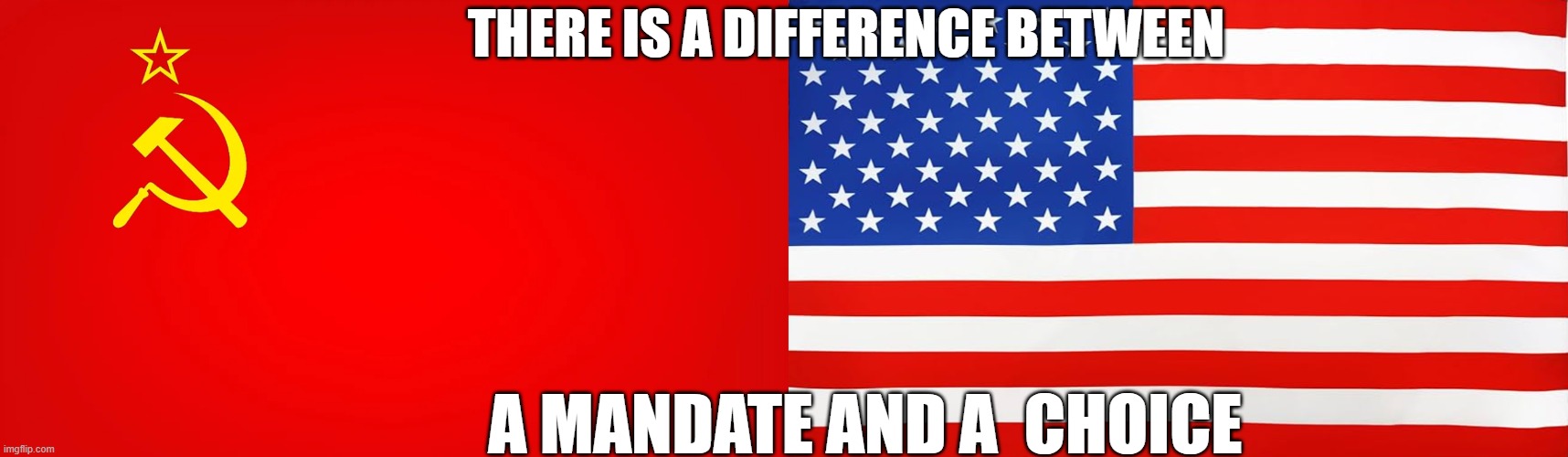 There is a difference between a mandate and a choice | THERE IS A DIFFERENCE BETWEEN; A MANDATE AND A  CHOICE | image tagged in america,communism,choice | made w/ Imgflip meme maker