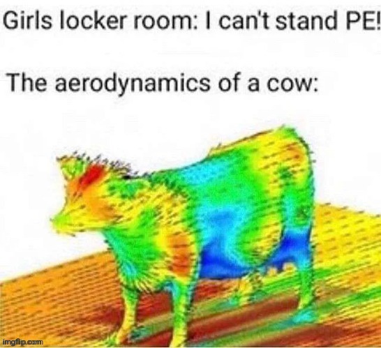 PE | image tagged in pe,cow,physical education,memes,repost,reposts | made w/ Imgflip meme maker