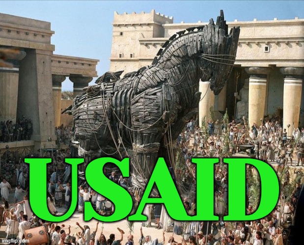 USAID is a Deep State Trojan Horse | USAID | image tagged in trojan horse,donald trump,elon musk,deep state,evil government,big government | made w/ Imgflip meme maker