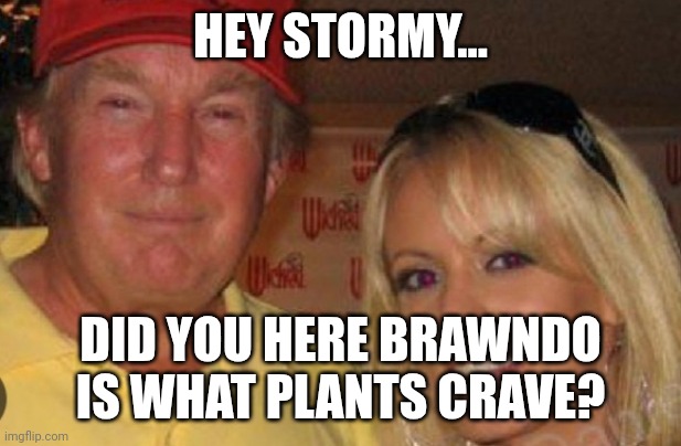 Side chick | HEY STORMY... DID YOU HERE BRAWNDO IS WHAT PLANTS CRAVE? | image tagged in side chick | made w/ Imgflip meme maker