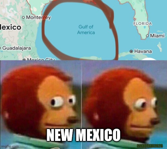 New Mexico Getting Nervous | NEW MEXICO; SSHEPARD2025 | image tagged in monkey looking away,gulf of america,new mexico,gulf of mexico | made w/ Imgflip meme maker