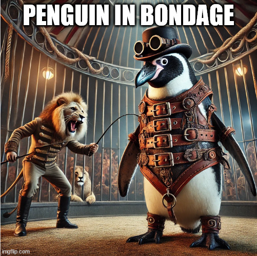 penguin in bondage | PENGUIN IN BONDAGE | image tagged in penguin,bondage,frank zappa,lion,circus | made w/ Imgflip meme maker