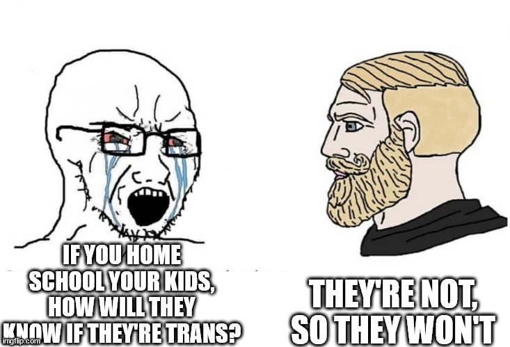 Stand up for your kids.  Don't let a mentally unstable adult destroy them. | IF YOU HOME SCHOOL YOUR KIDS, HOW WILL THEY KNOW IF THEY'RE TRANS? THEY'RE NOT, SO THEY WON'T | image tagged in soyboy vs yes chad | made w/ Imgflip meme maker