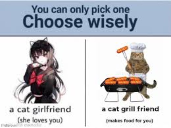 Choose wisely. And please give your explanation of your choice! | image tagged in would you rather,memes | made w/ Imgflip meme maker